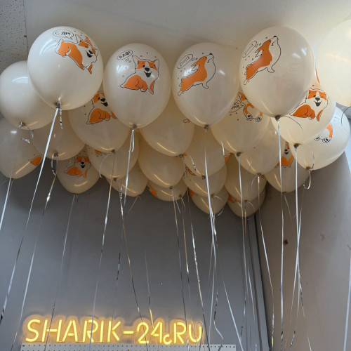 Воздушные шары с днем рождения Корги-1