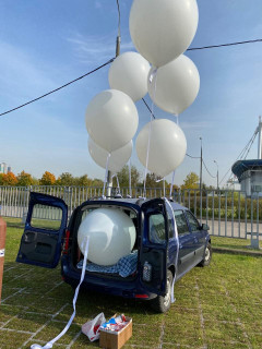 Автомобиль компании Шарик 24