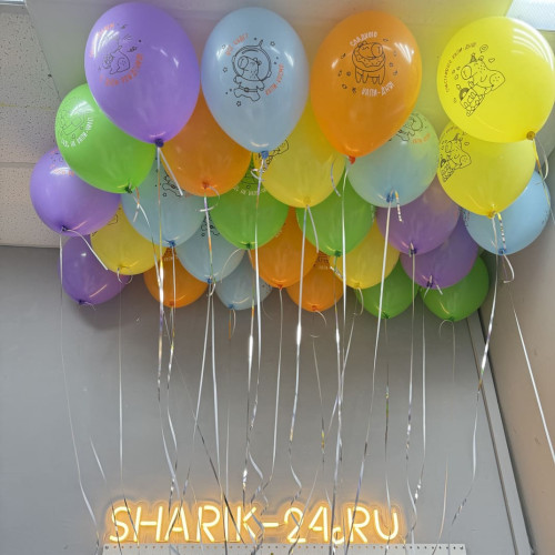 Воздушные шары капибара с днем рождения-3
