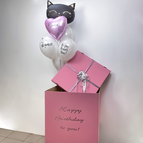 Букет шаров с кошечкой в розовой коробке-1
